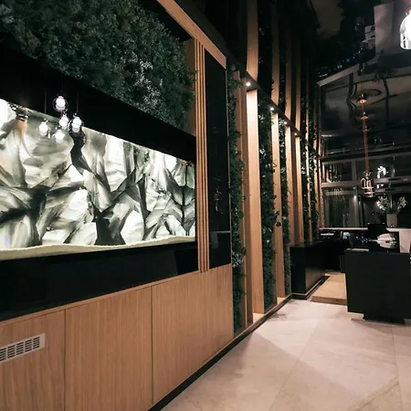Bellevue Hotel 4*